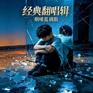 你的样子 (烟嗓蓝调版)