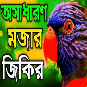 অসাধারণ মজার জিকির l কলিজা ঠান্ডা করার জিকির l মন বোঝানো জিকির l মন ভালো করা জিকির l জিকির