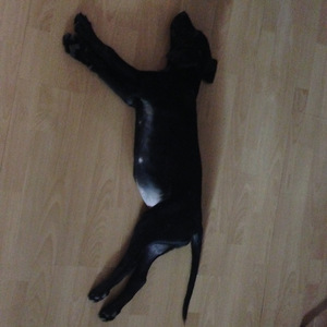 夏夜的一首歌-LIVE