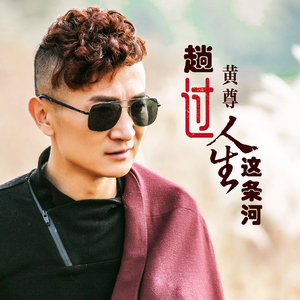 趟过人生这条河 (DJ版)