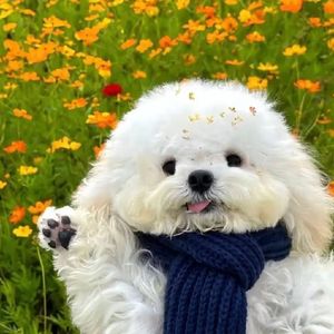 余晖的街角 伴奏