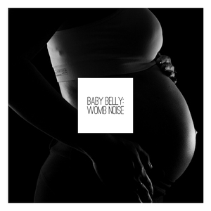 Baby Womb Noise