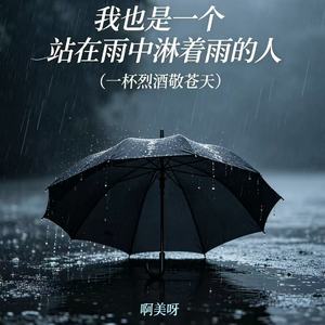 我也是一个站在雨中淋着雨的人（一杯烈酒敬苍天）
