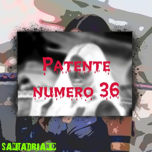 PATENTE NUMERO 36