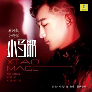 秋风起 好想你