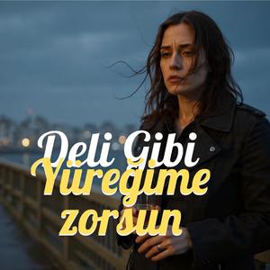 Deli Gibi Yüregime Zorsun | Psychedelic Anatolian Rock