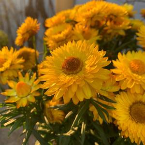 星空下的幻想 经典钢琴曲