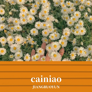 cainiao