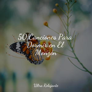 Deslizamientos De Hielo