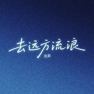 去远方流浪
