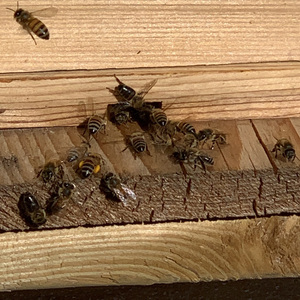 Under the Influence of a Broken Heart