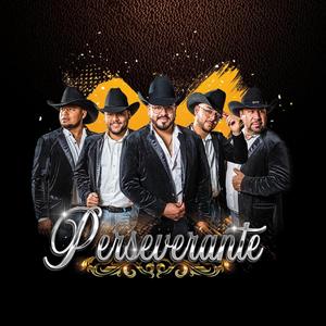 Tu A Mi No Me Hundes (En vivo)