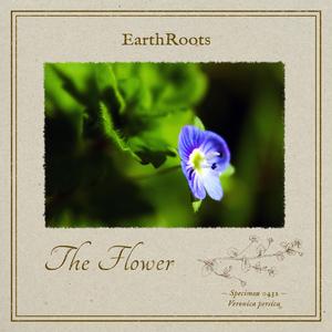 The Flower