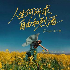 人生何所求自由和烈酒