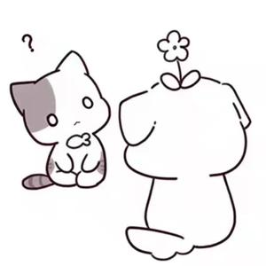 早安喵（完整版）