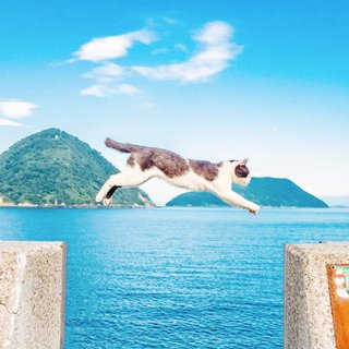 「治愈指南」秋日空气中弥漫的温暖甜味