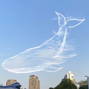 世界淹没之前好好生活