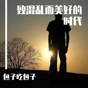 致混乱而美好的时代