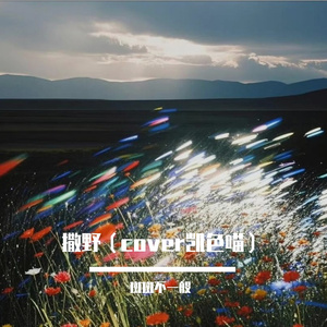 刻在我心底的名字（cover 卢广仲）.wav