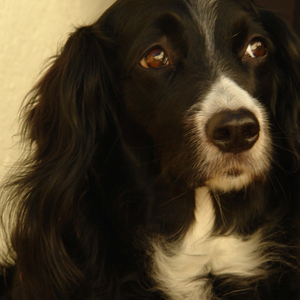 Nada É Real (Versão Alternativa)