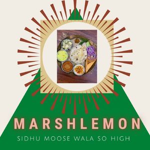 Sidhu Moose Wala So High