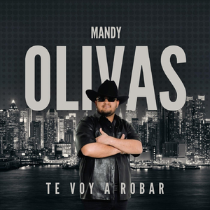 Te Voy a Robar