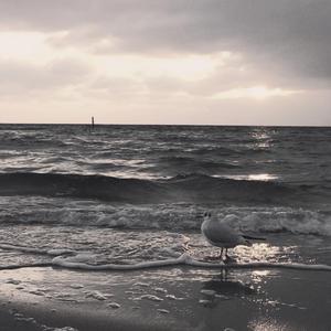 The Chainsmokers-红色高跟鞋（DJ阿海 remix）