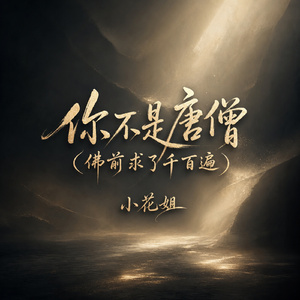 你不是唐僧(佛前求了千百遍)