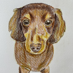 いつもあなたのそばで