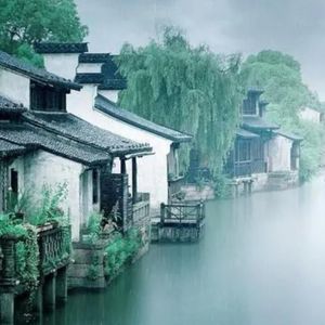 死在江南烟雨中