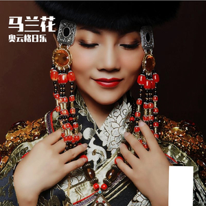 草原上的马兰花