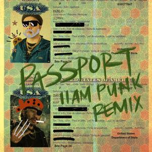 Passport (11am Punk Remix)