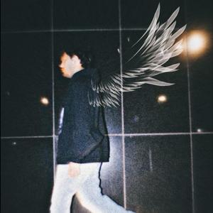 Cardinals in the Sky