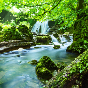 アシタカせっ記 (Harp Cover)