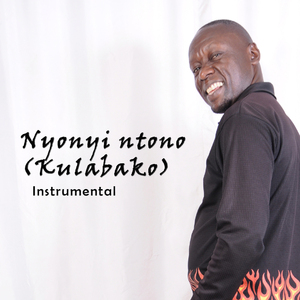 Nyonyi Ntono (Kulabako) (Instrumental)