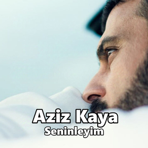 Seninleyim