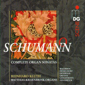 Sonata No. 6 in A Minor, Op. 110: IV. Toccata