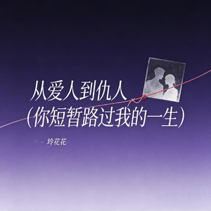 从爱人到仇人(你短暂路过我的一生)