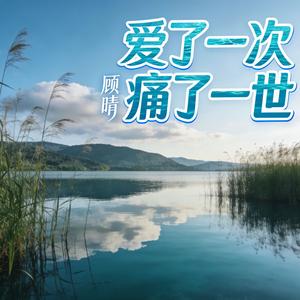 爱了一次 痛了一世