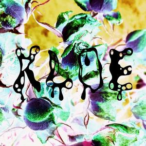 KLoE