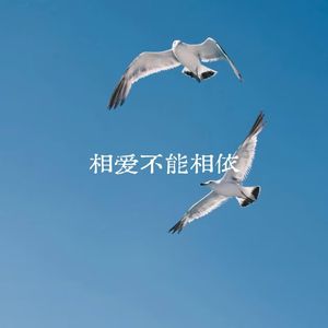 相爱不能相依