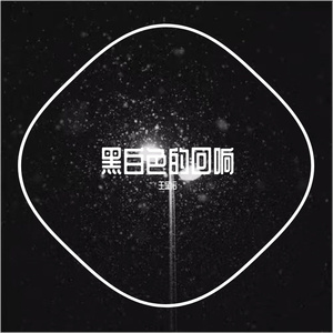 斑马走在斑马线上