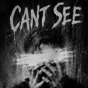 CAN'T SEE