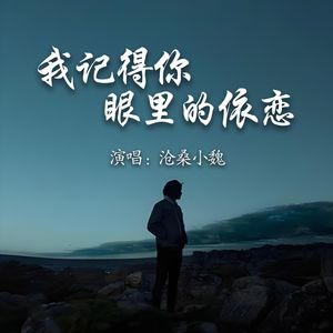我记得你眼里的依恋
