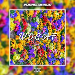 WDGAF