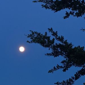沉默