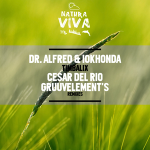 Timbalix (GruuvElement's Remix)