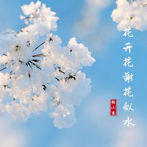 花开花谢花似水