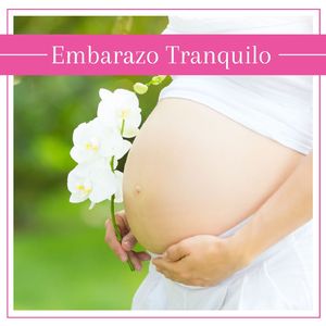 Convertirse en Madre