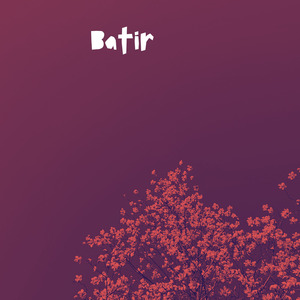 Batir